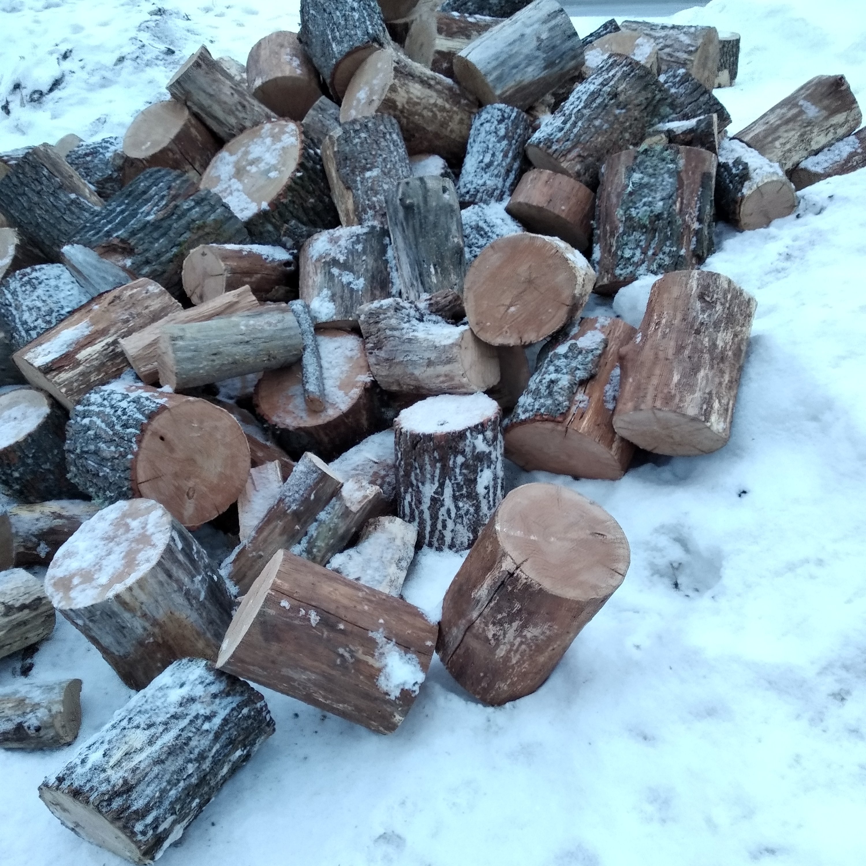 Дубовые пеньки